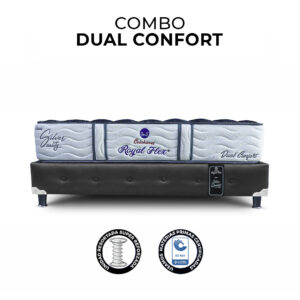 DUAL FRONTAL